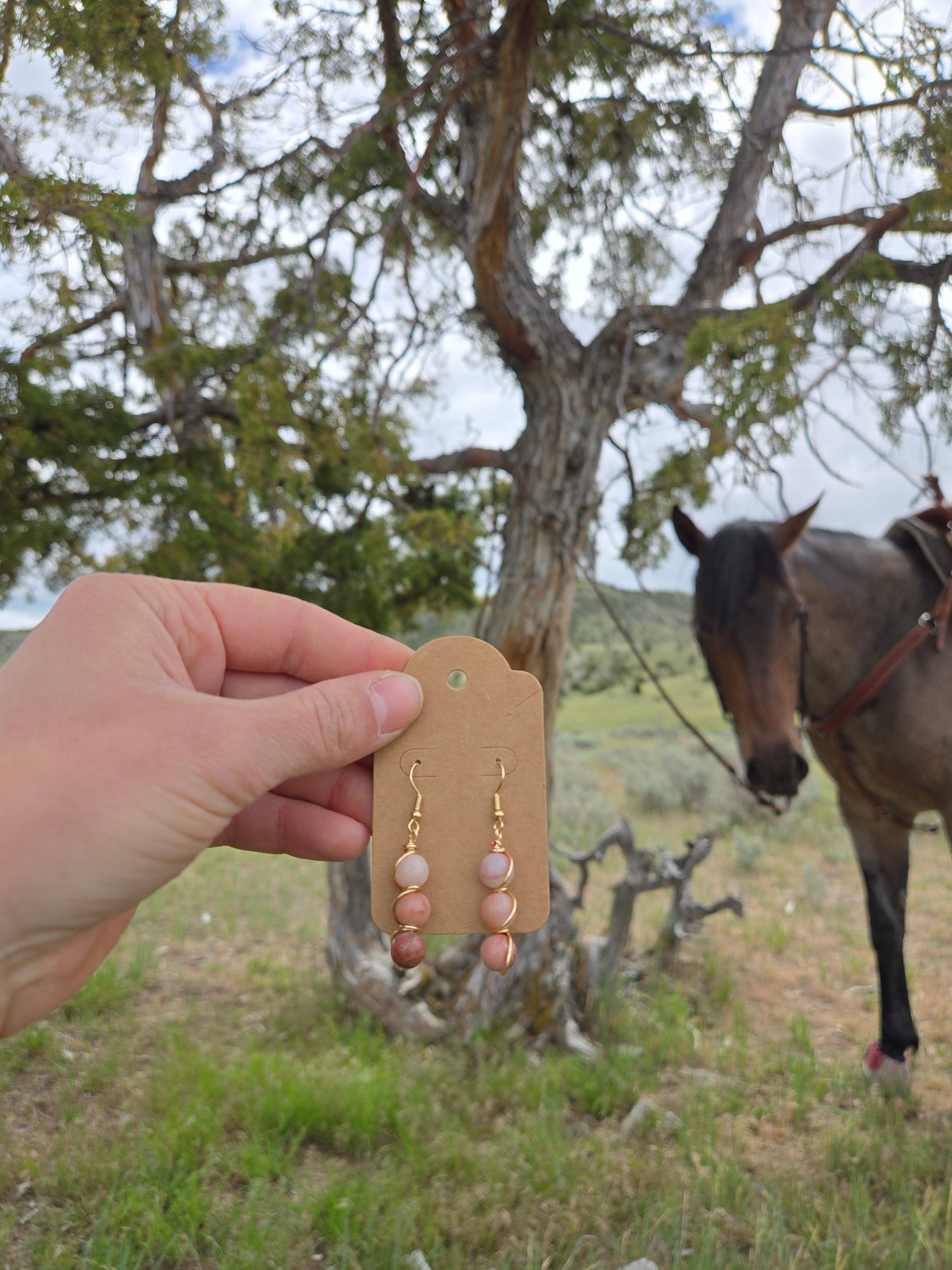 Trail Swirl Earrings - Petrified Wood