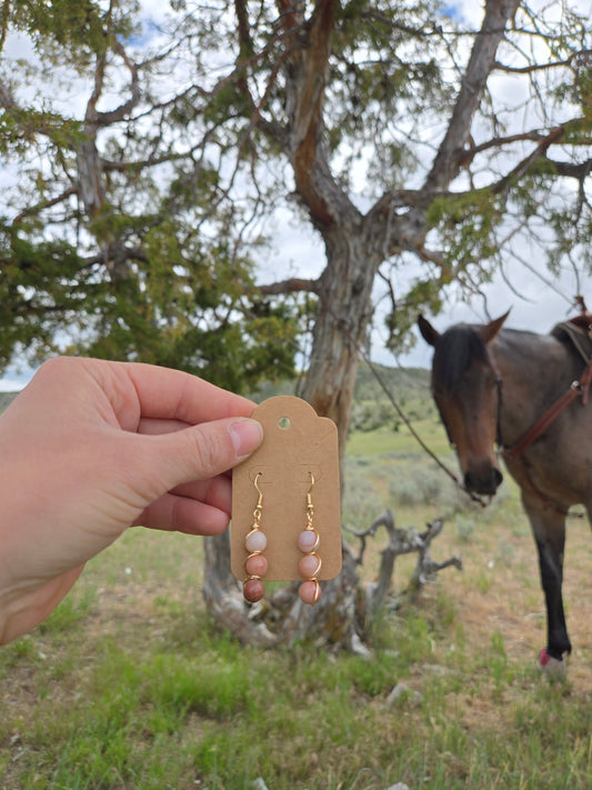 Trail Swirl Earrings - Petrified Wood